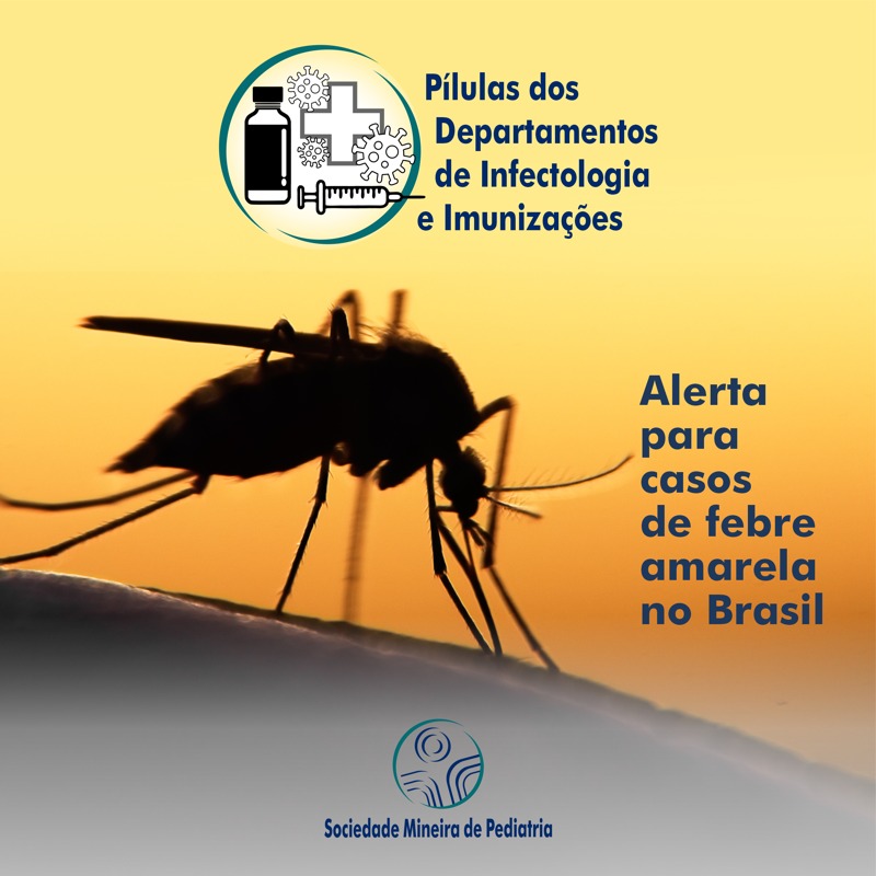 WhatsApp Image 2025-03-31 at 14.13.03